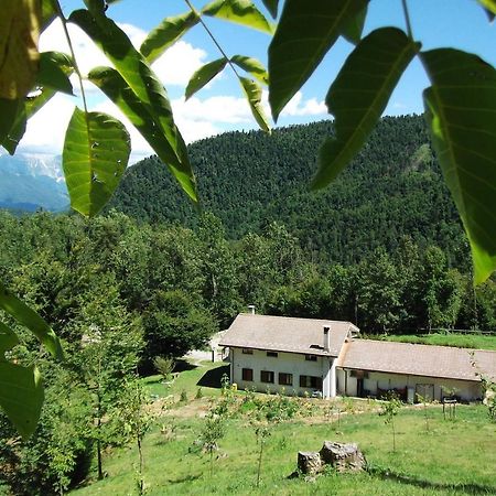 Bosco delle Rune ..un angolo di paradiso Platischis Esterno foto
