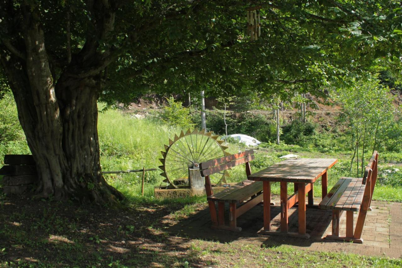 Bosco delle Rune ..un angolo di paradiso Platischis Esterno foto