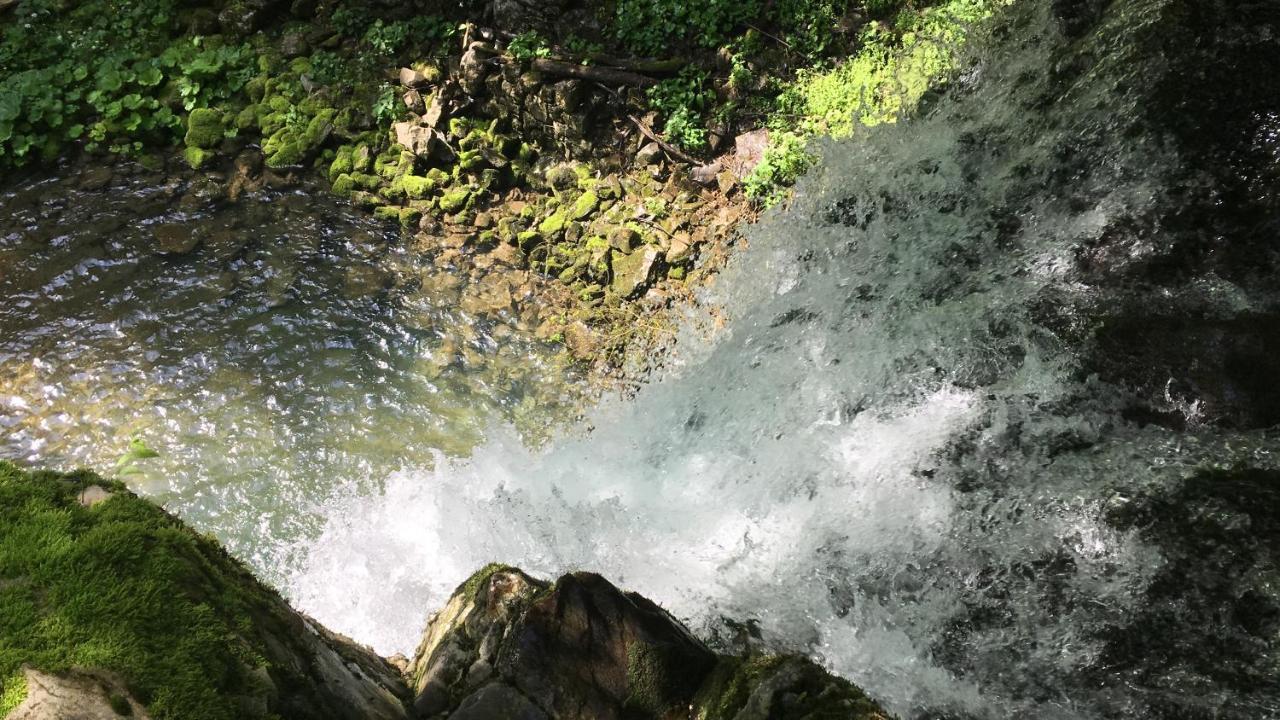 Bosco delle Rune ..un angolo di paradiso Platischis Esterno foto