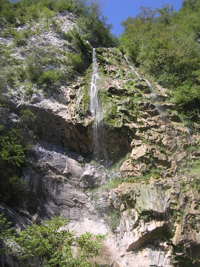 Bosco delle Rune ..un angolo di paradiso Platischis Esterno foto