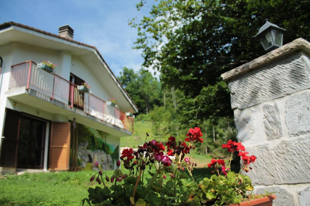Bosco delle Rune ..un angolo di paradiso Platischis Esterno foto
