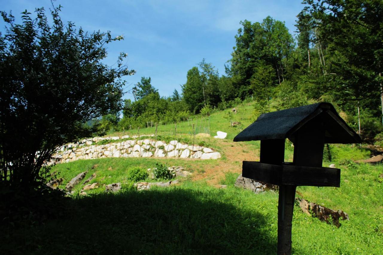 Bosco delle Rune ..un angolo di paradiso Platischis Esterno foto
