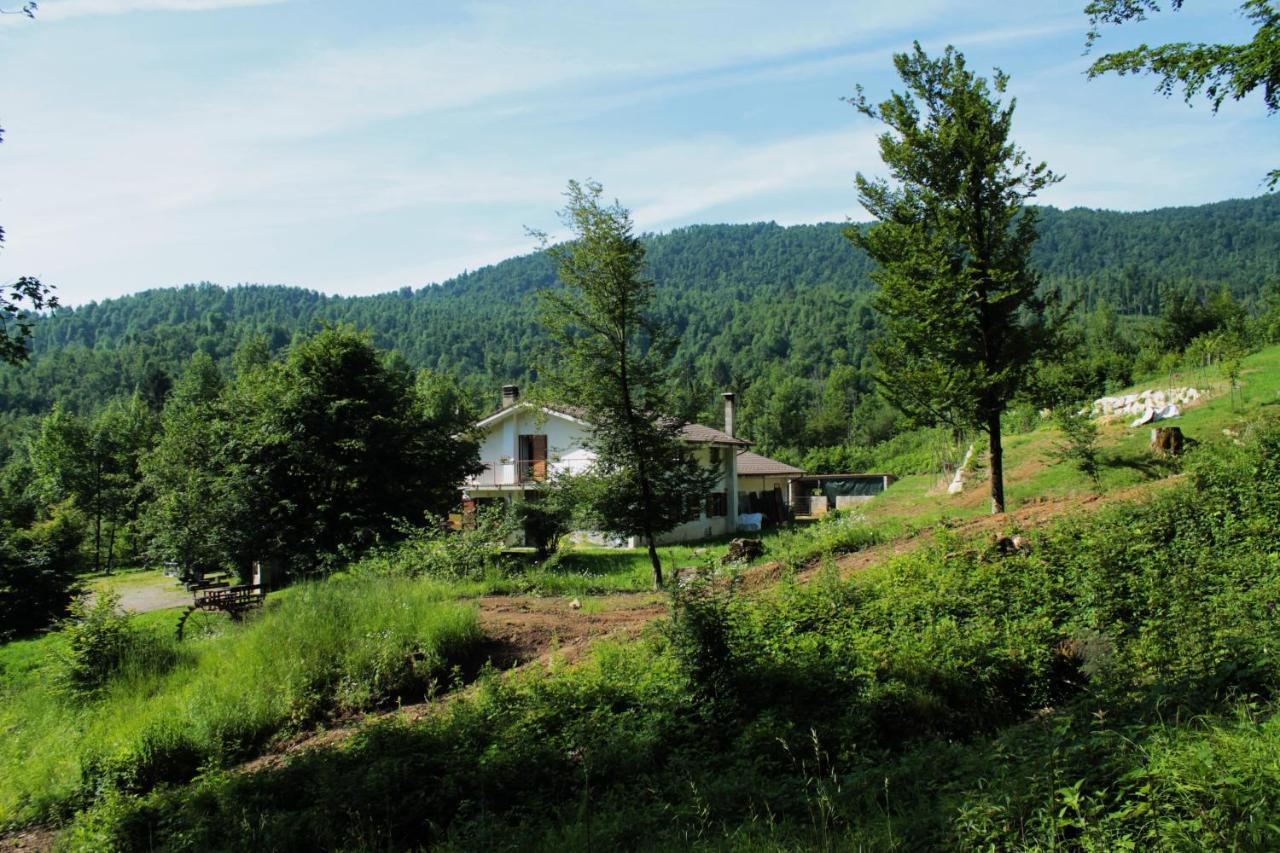Bosco delle Rune ..un angolo di paradiso Platischis Esterno foto