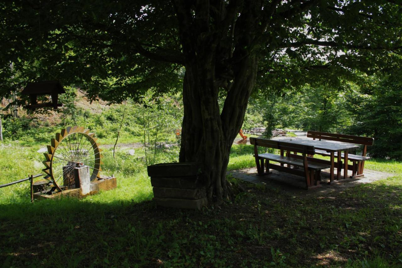 Bosco delle Rune ..un angolo di paradiso Platischis Esterno foto